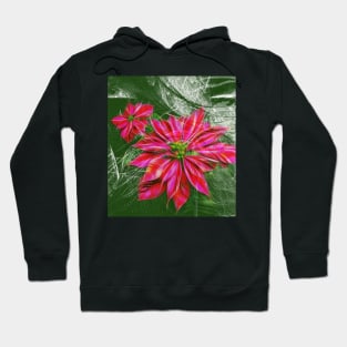 Abstract vibrant red poinsettia on green texture Hoodie